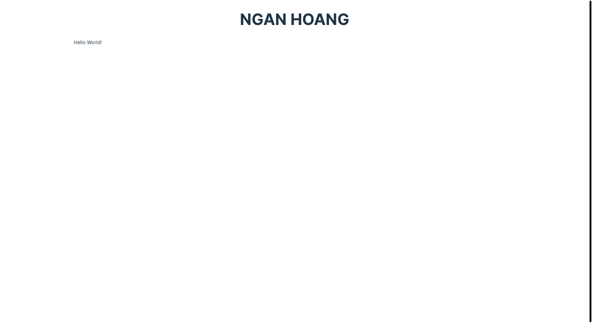 website screenshot of https://nganhoang.pages.dev/
