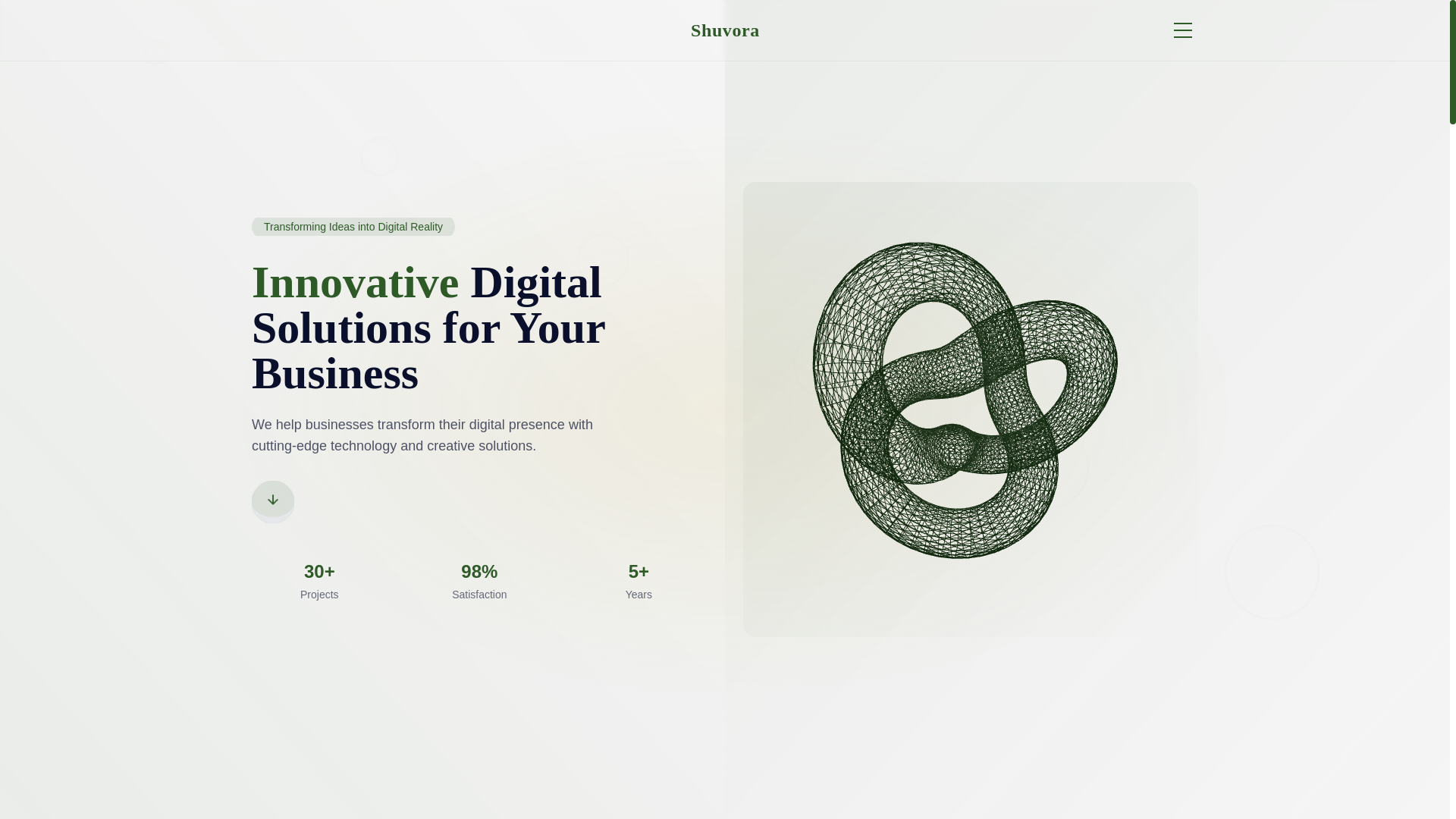 website screenshot of https://shuvorasoftwares.com/