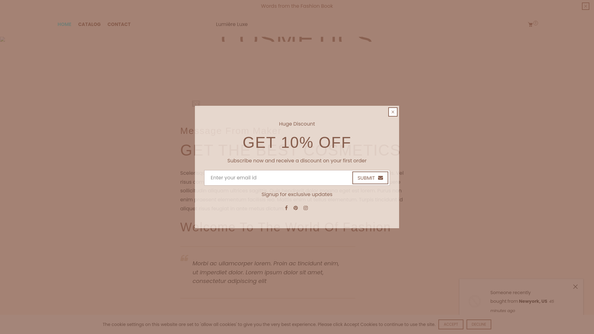 website screenshot of https://chicbento.com/