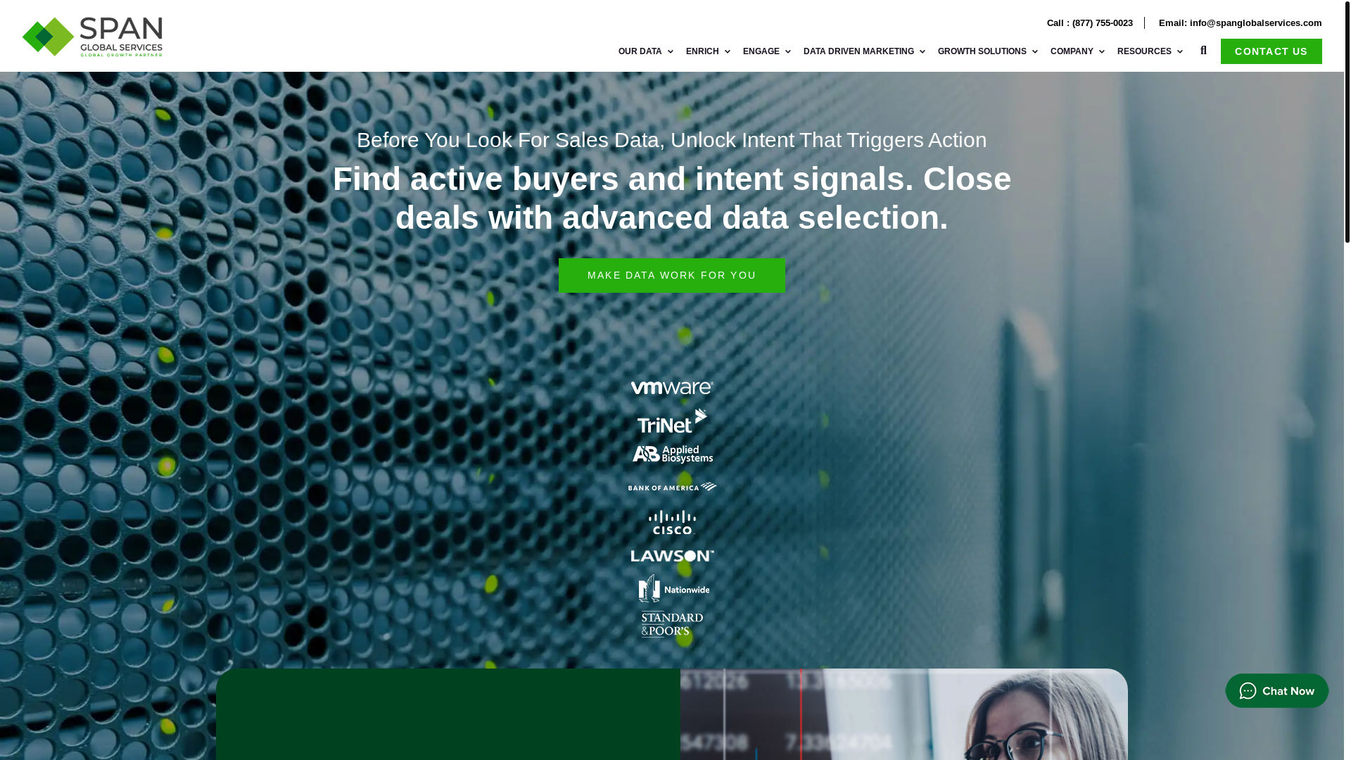 website screenshot of https://spanglobalservices.ai/