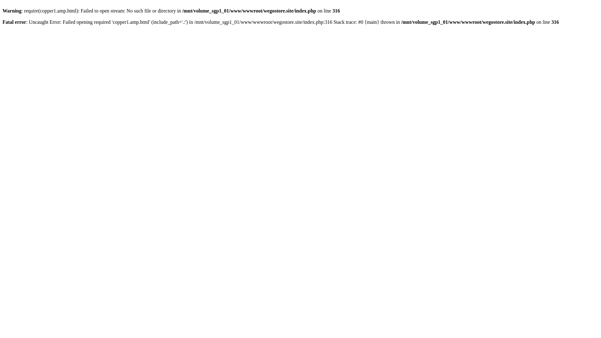 website screenshot of https://wegostore.site/