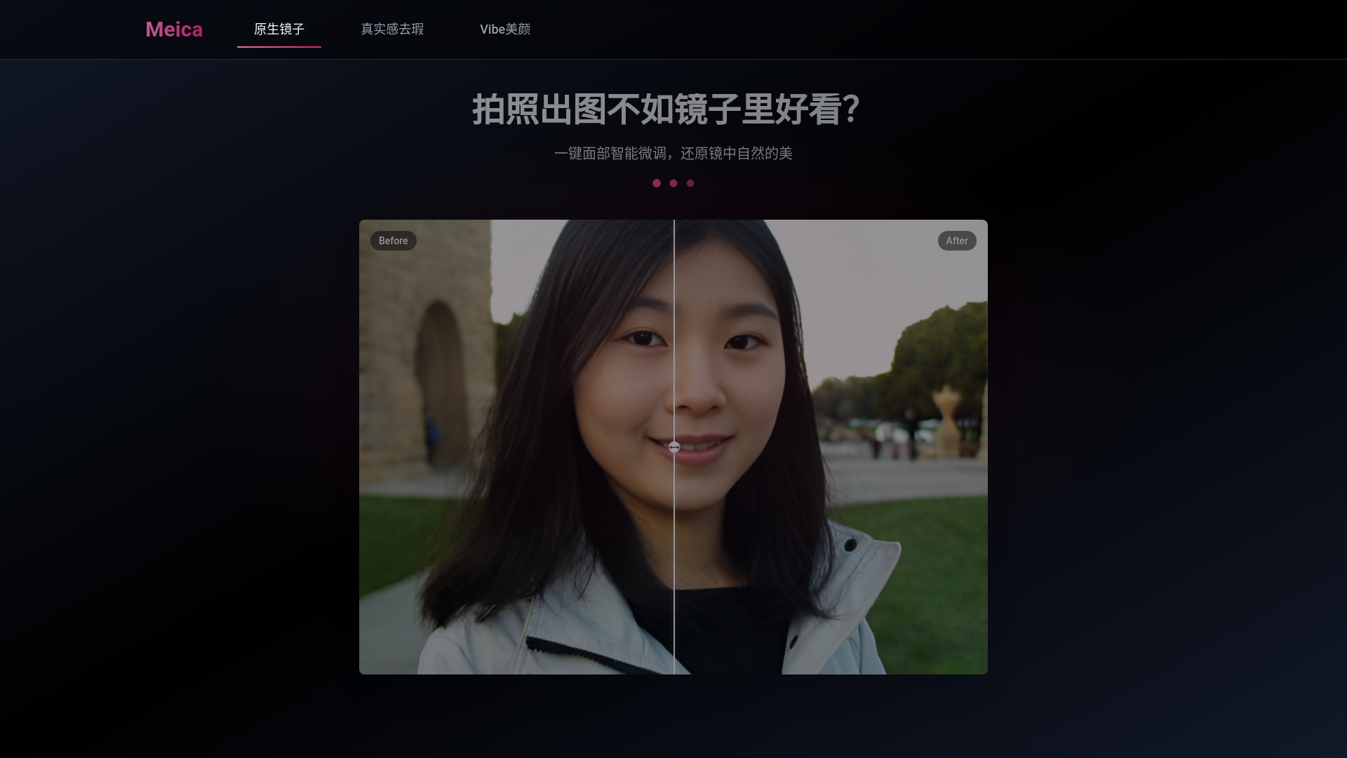 website screenshot of https://meica-poster.pages.dev/