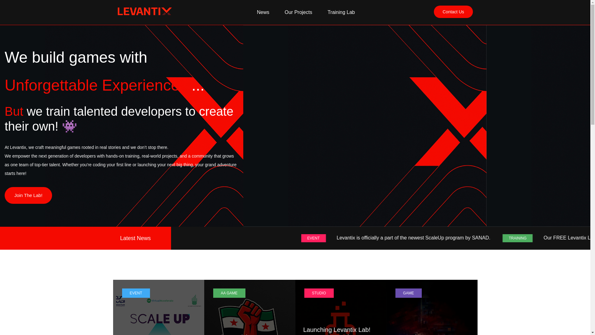 website screenshot of https://levantix.net/