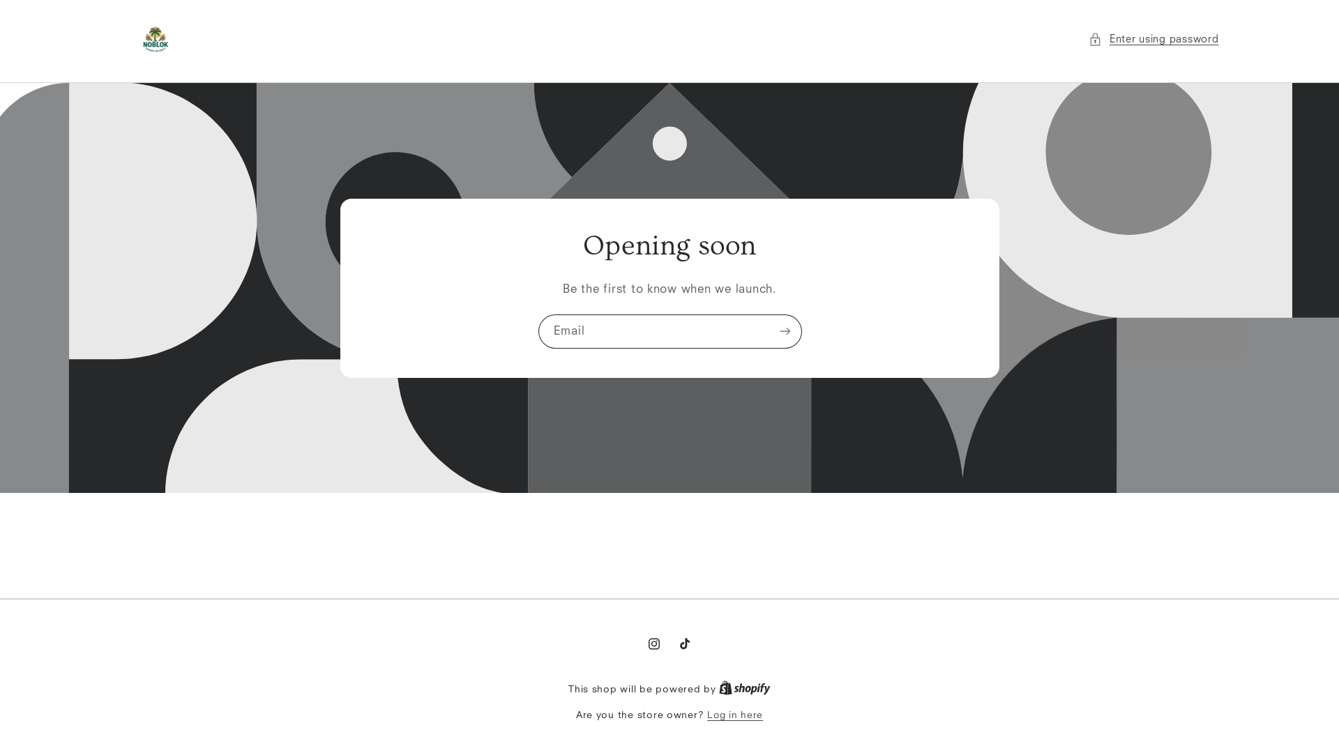 website screenshot of https://noblok.store/