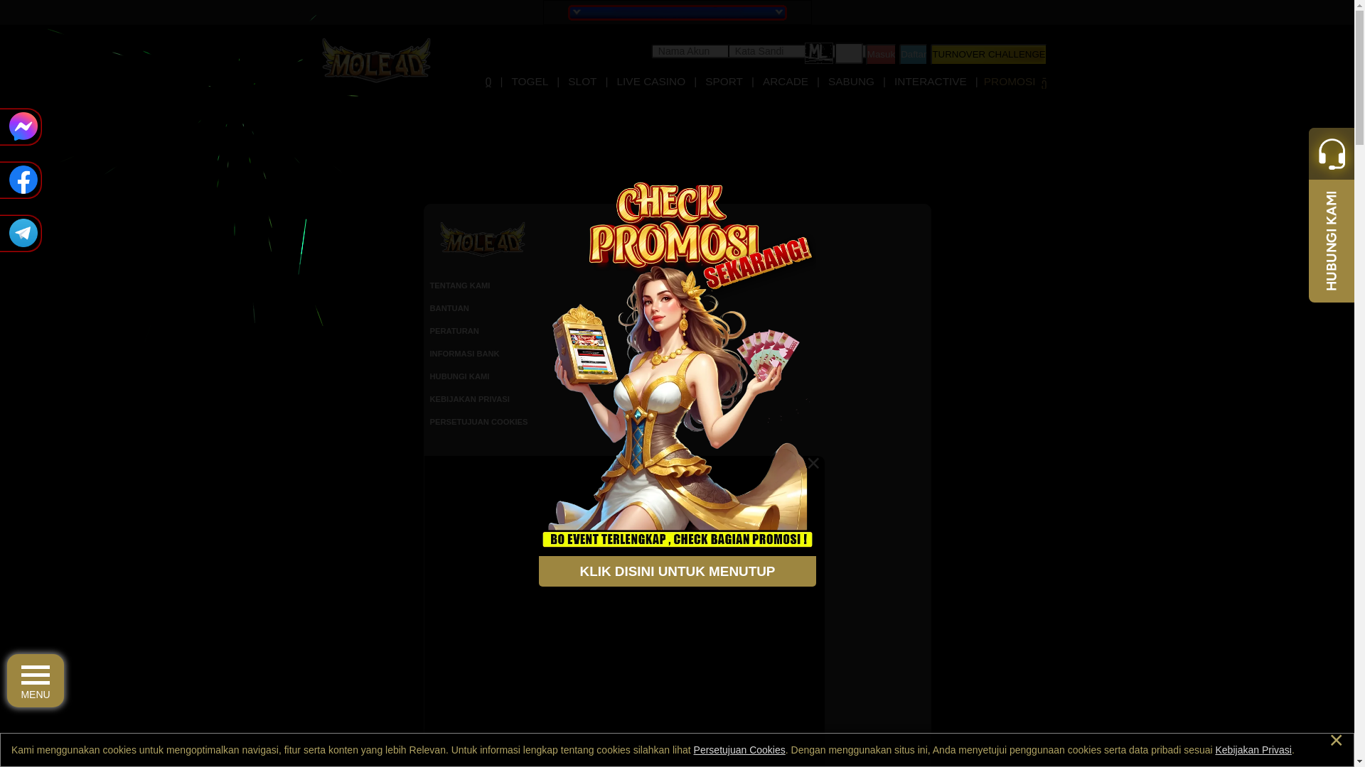 website screenshot of https://mole4dhajar.com/