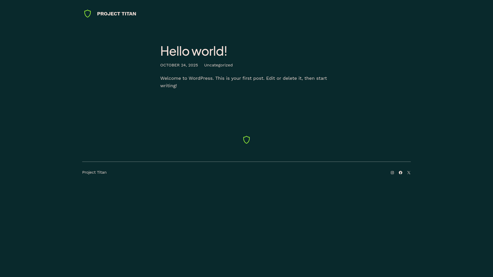 website screenshot of https://titaneventsandsecurity.com/