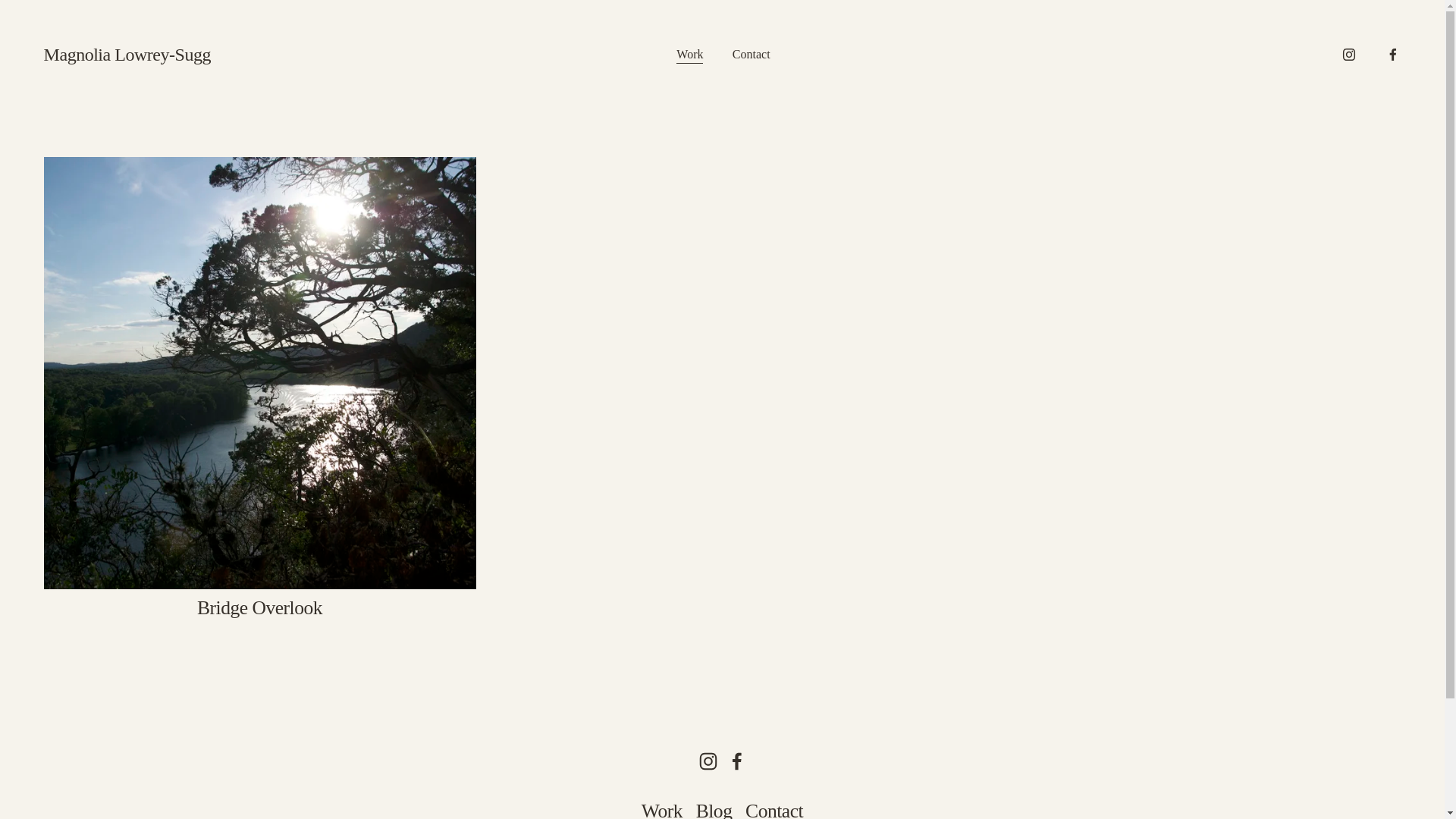 website screenshot of https://magnoliaphotography.org/