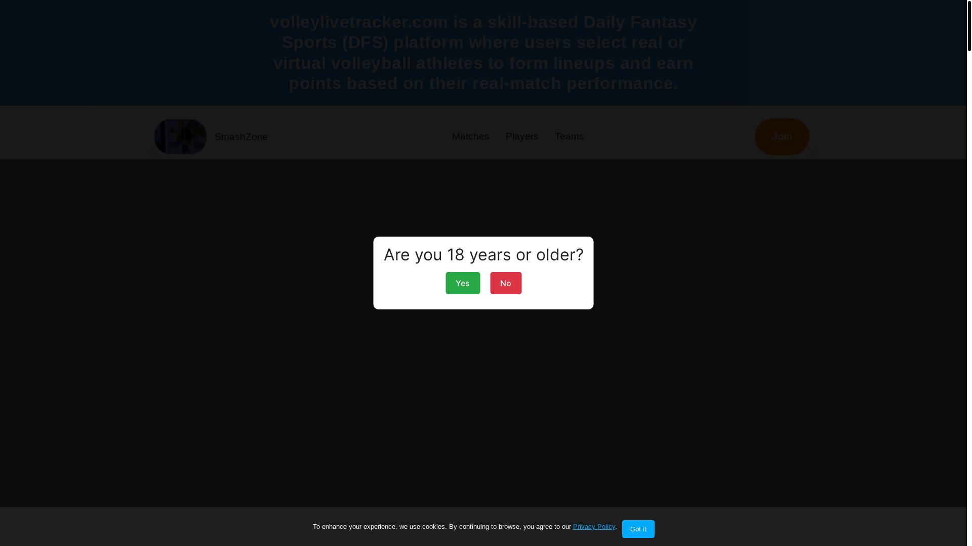website screenshot of https://volleylivetracker.com/