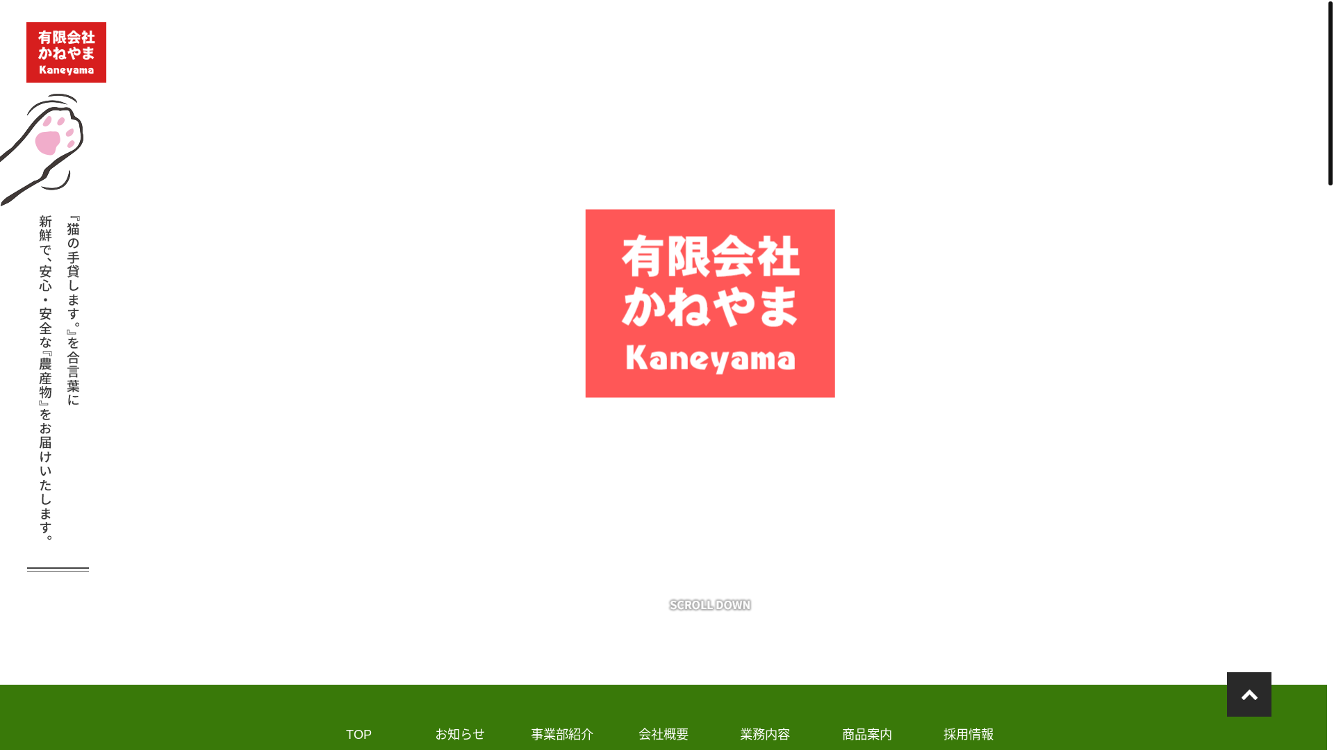 website screenshot of https://vejisapo.com/