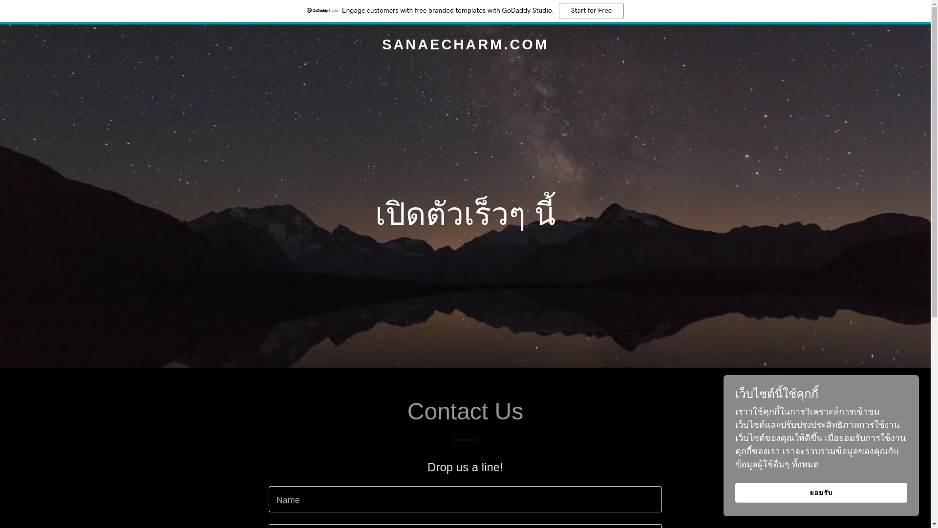 website screenshot of https://sanaecharm.com/
