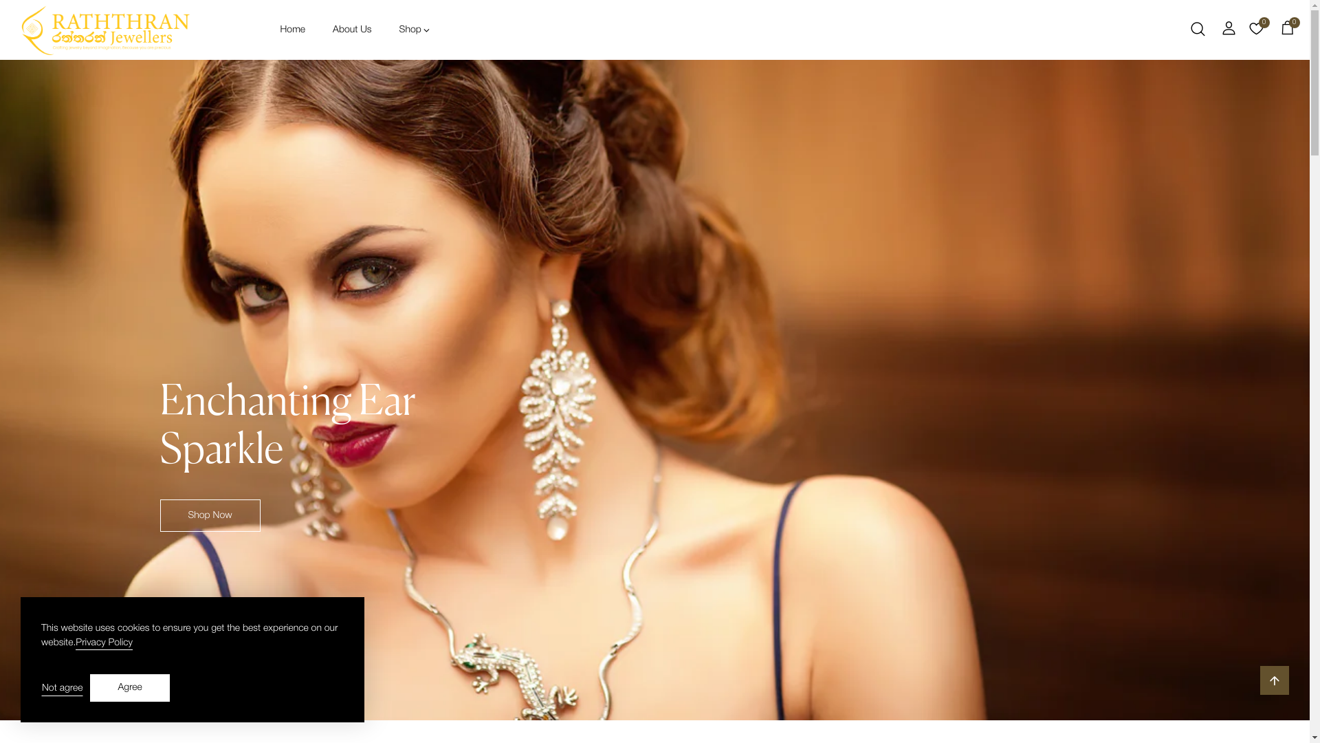 website screenshot of https://jewellers.lk/