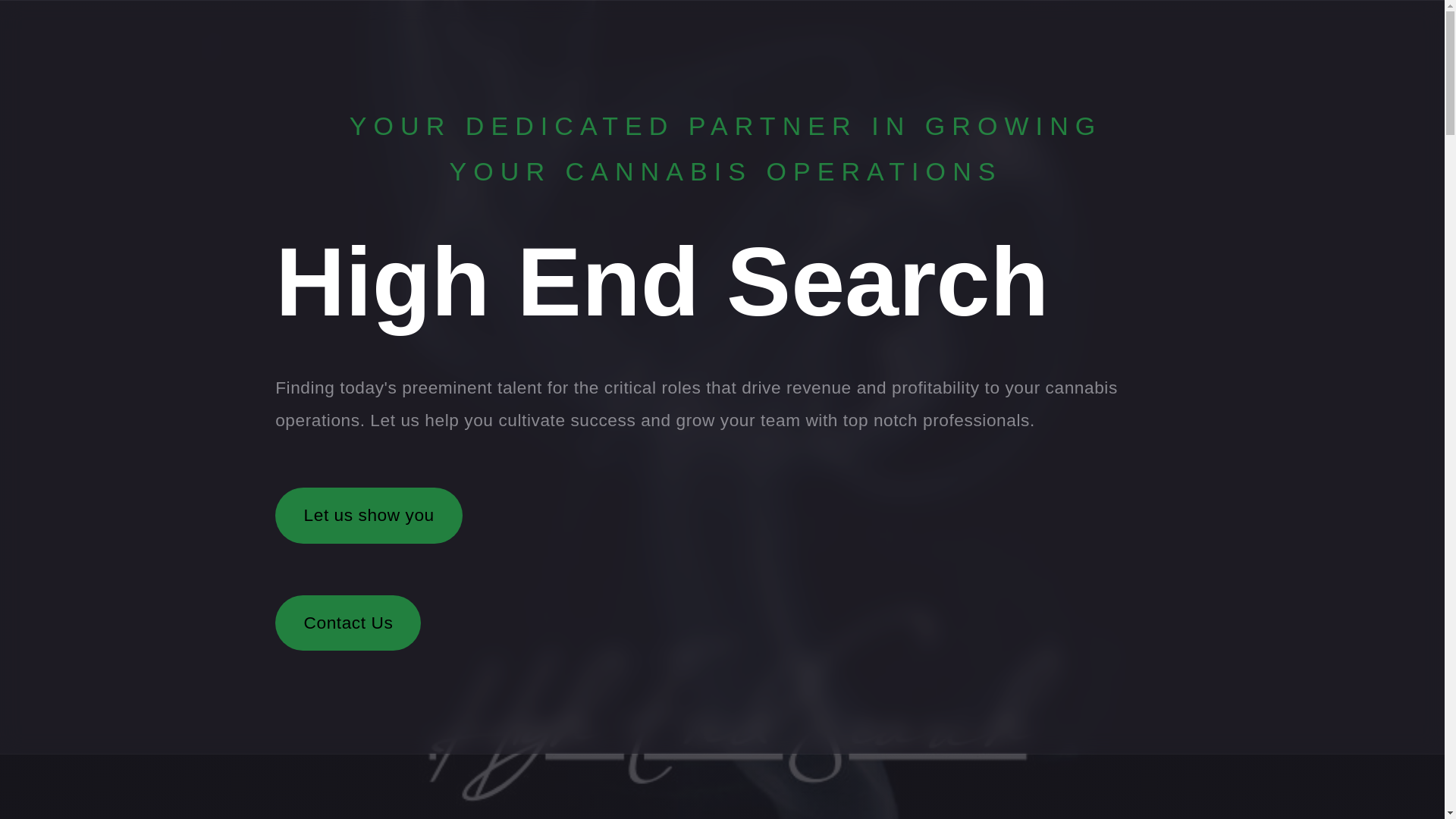 website screenshot of https://highendsearch.net/