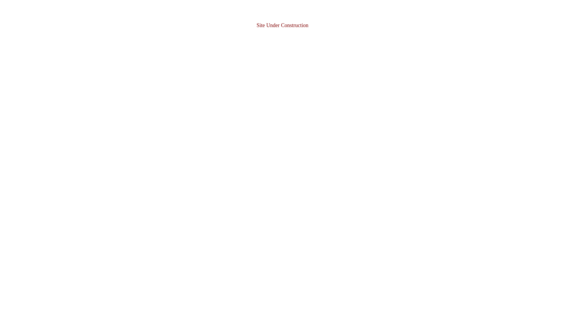 website screenshot of https://securityscoresolutions.com/