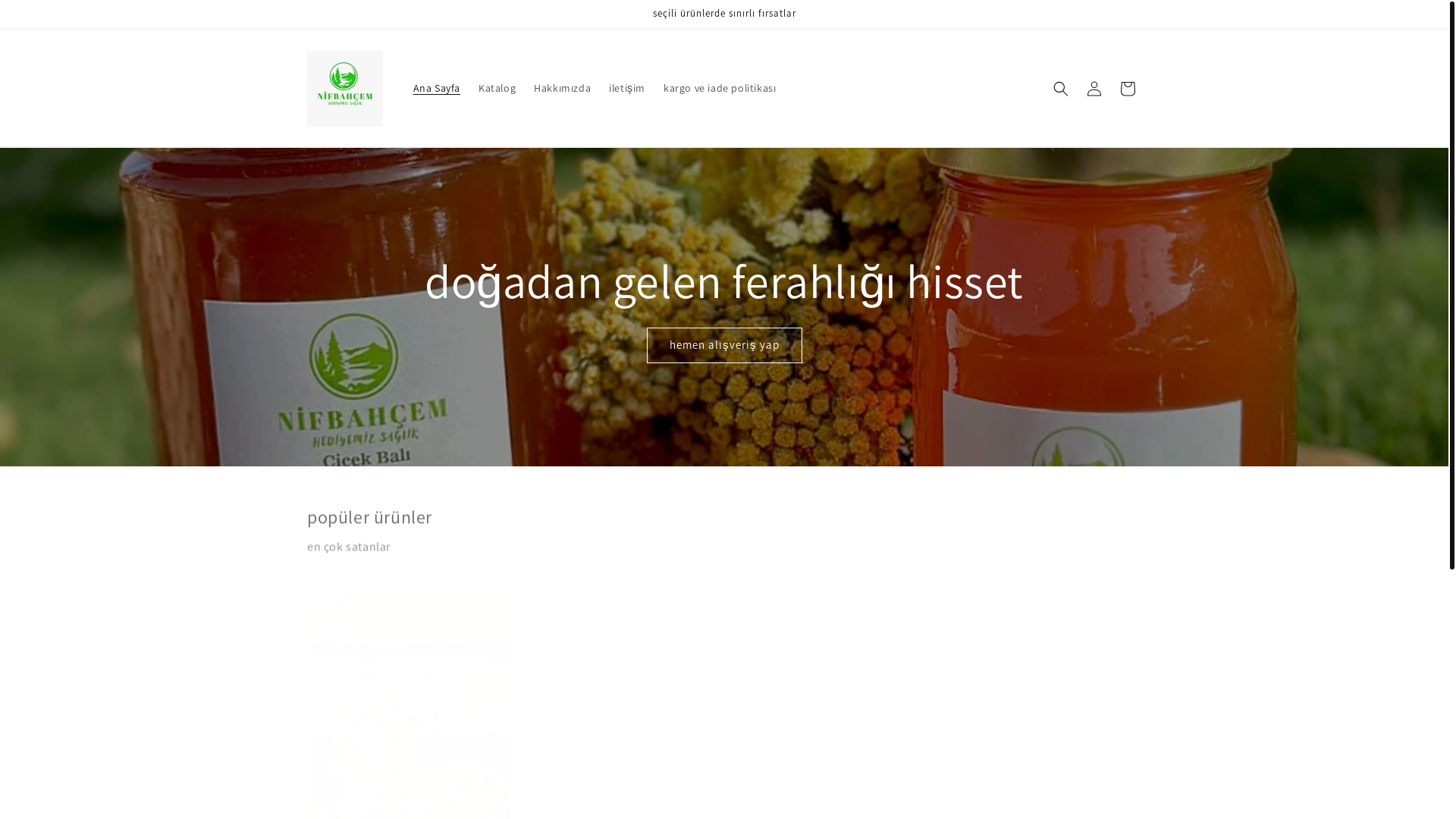 website screenshot of https://nifbahcem.com/