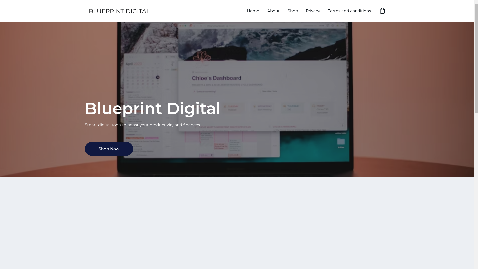 website screenshot of https://blueprintdigital.shop/