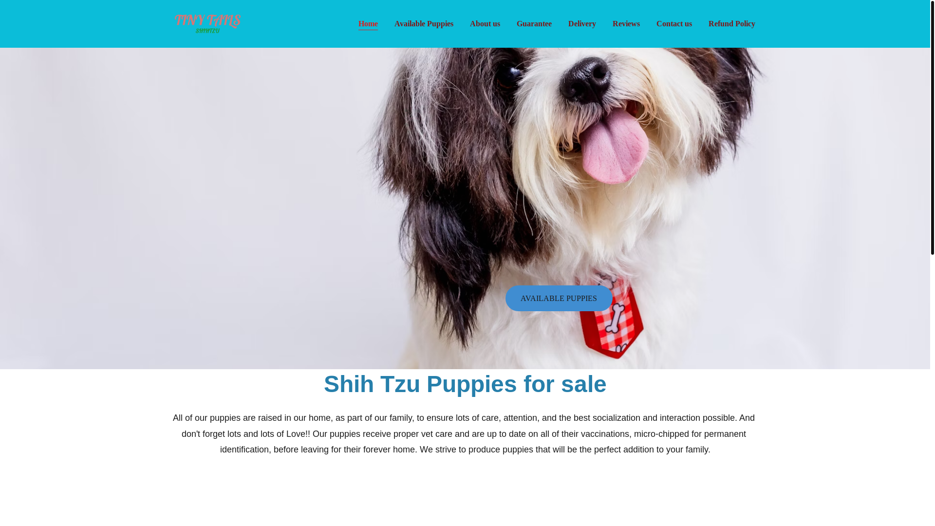 website screenshot of https://tinyshihtzuhaven.com/