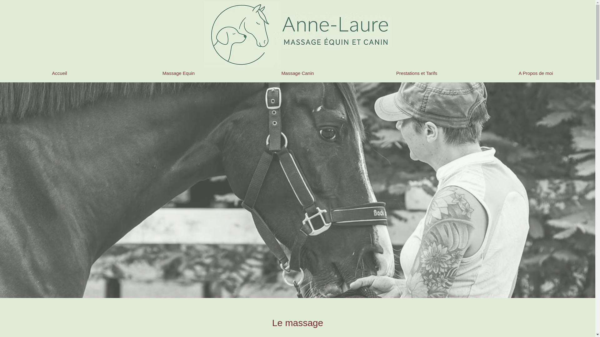 website screenshot of https://alb-massage-equin-canin.com/