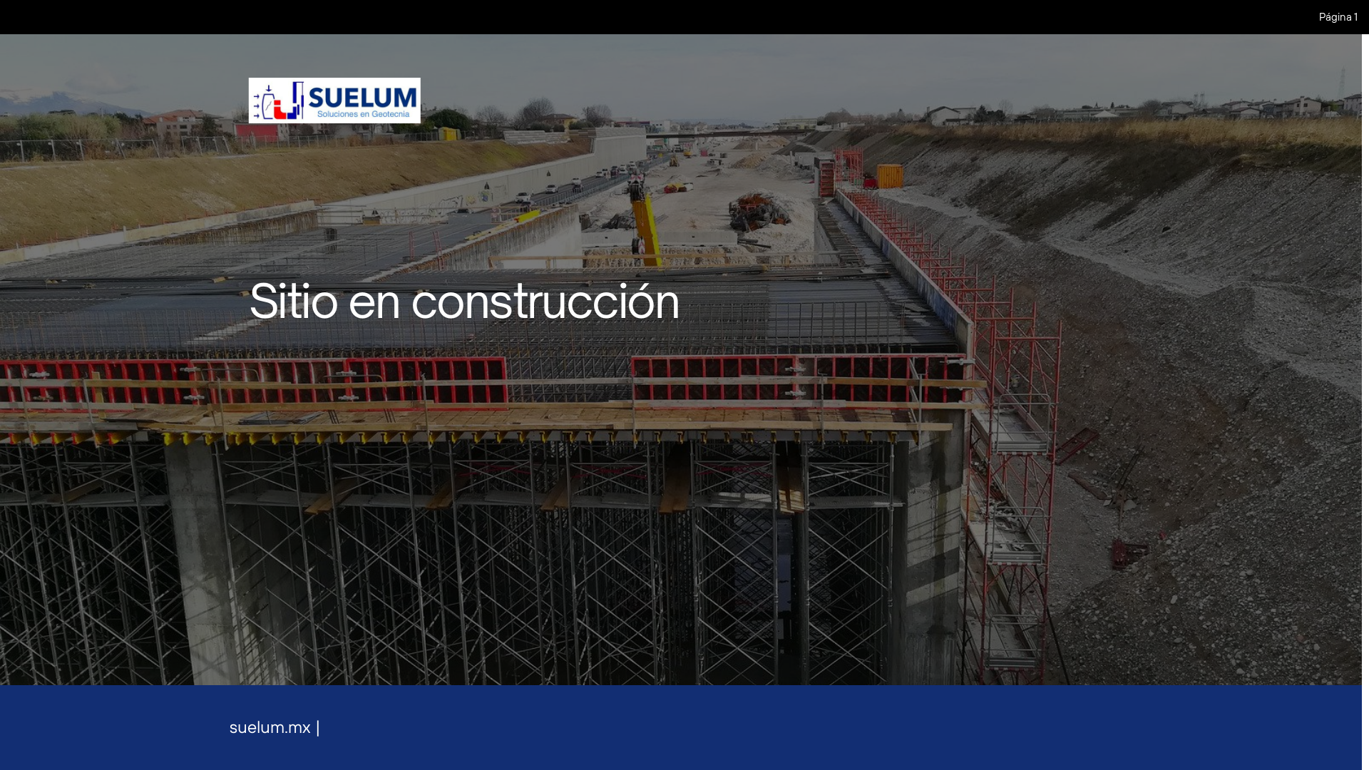 website screenshot of https://suelum.mx/