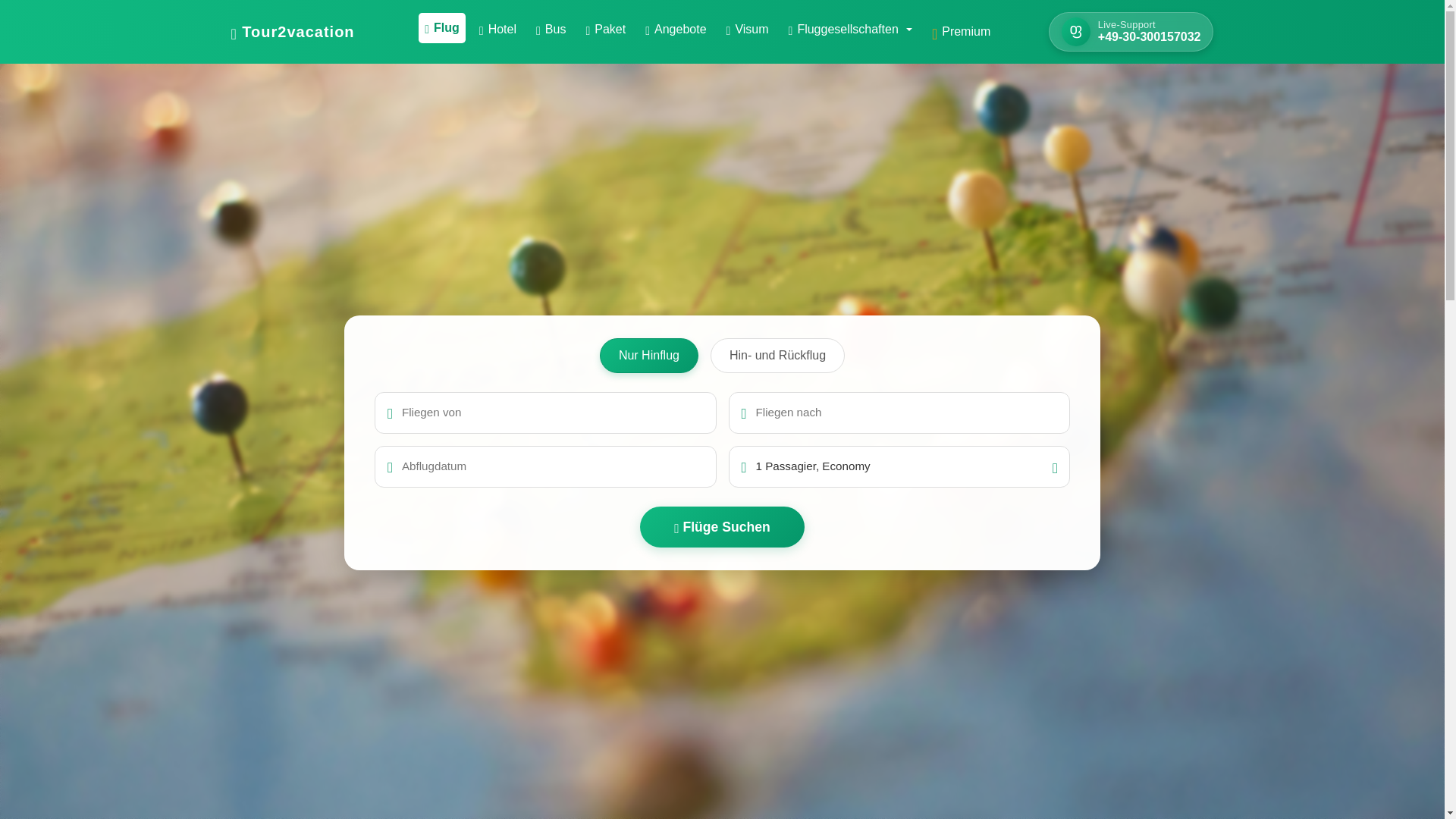 website screenshot of https://tour2vacation.online/