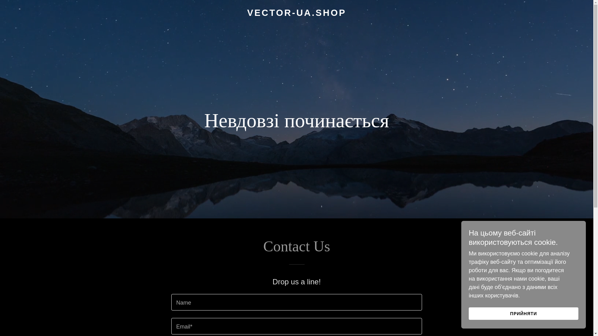 website screenshot of https://vector-ua.shop/