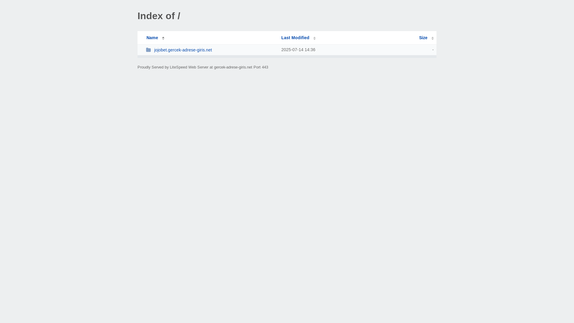 website screenshot of https://gercek-adrese-giris.net/
