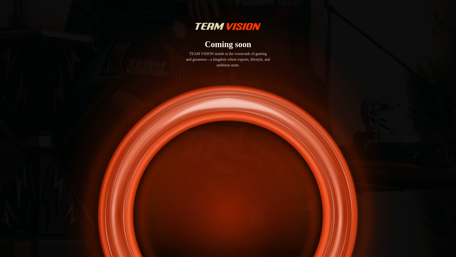 website screenshot of https://teamvision.gg/