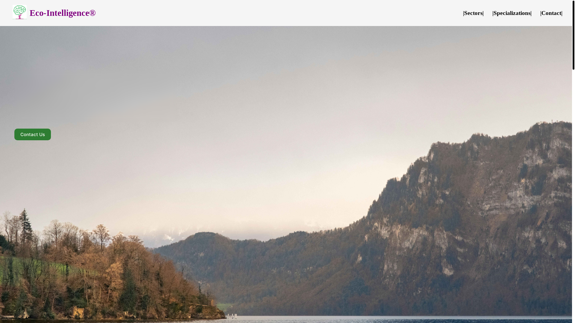 website screenshot of https://ecointelligence-website.pages.dev/