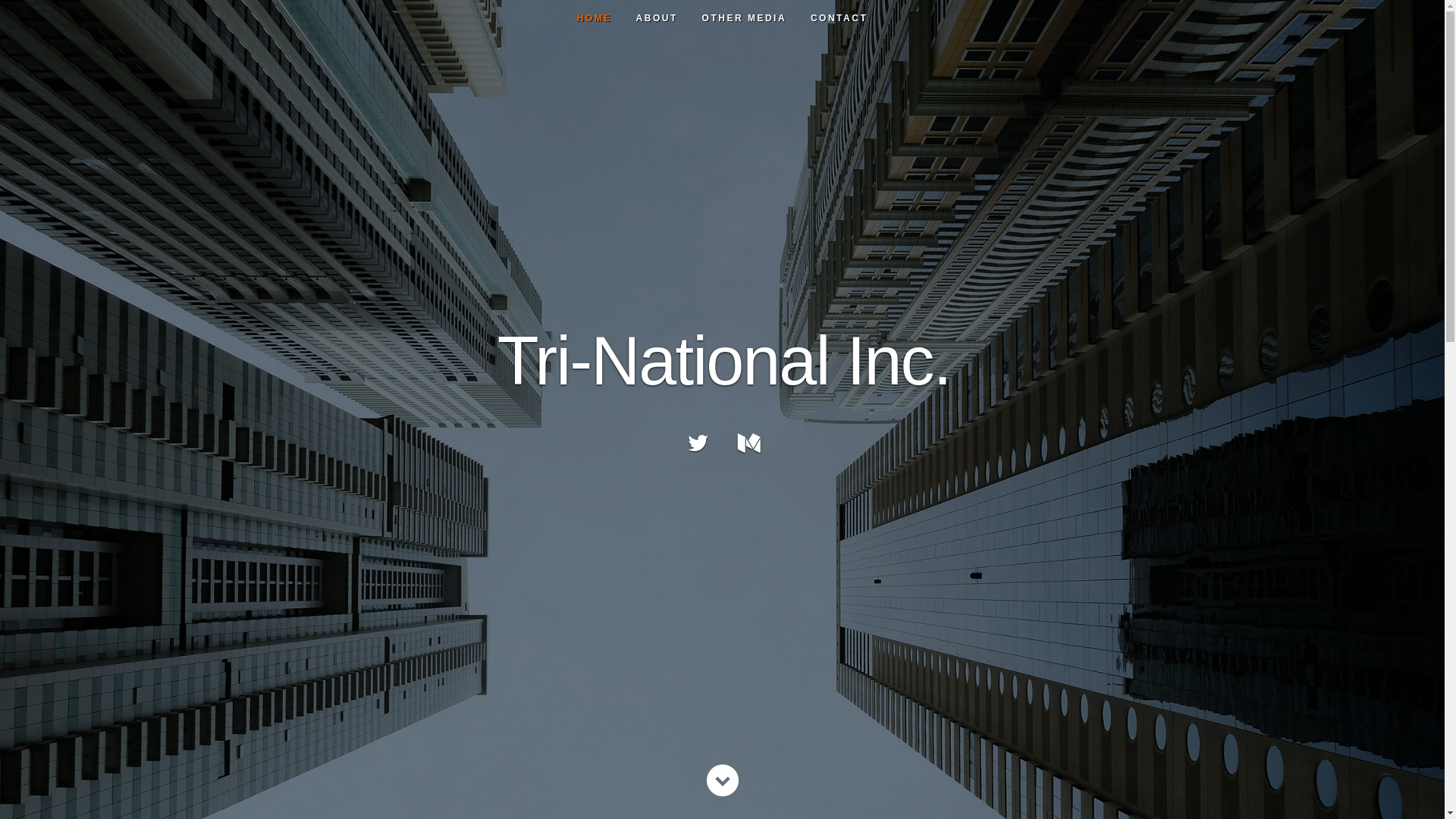 website screenshot of https://tri-nationaltrucking.com/