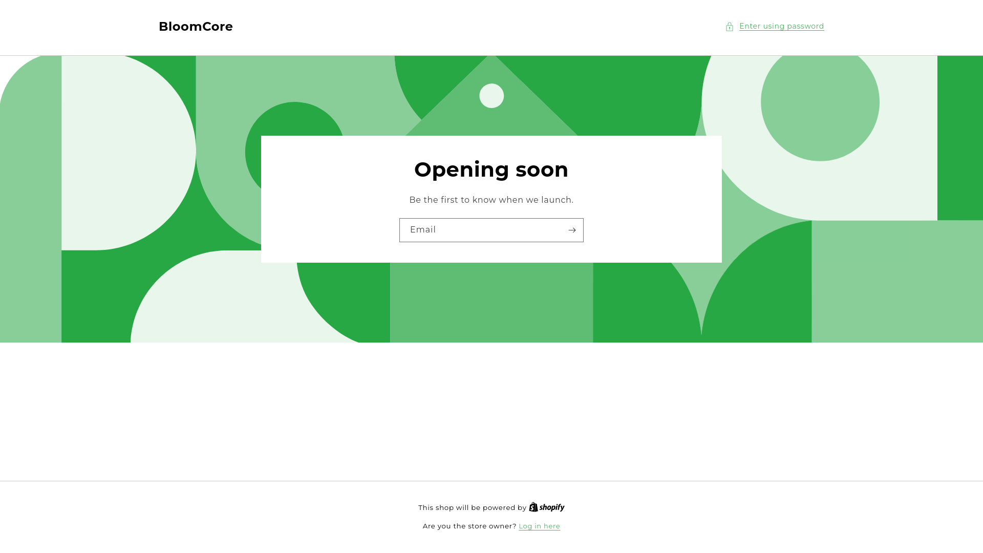 website screenshot of https://shopbloomcore.com/