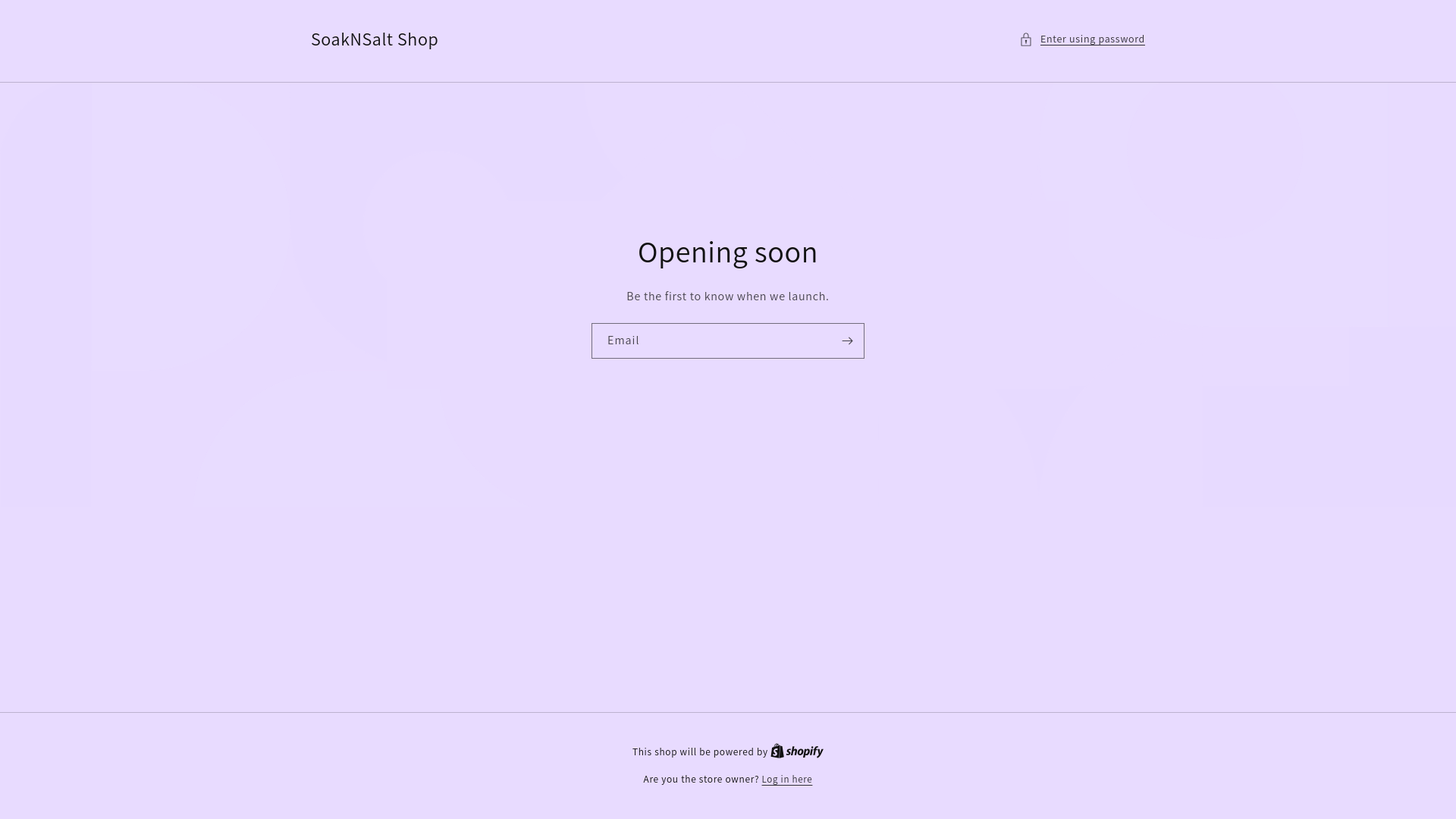 website screenshot of https://soaknsaltshop.com/