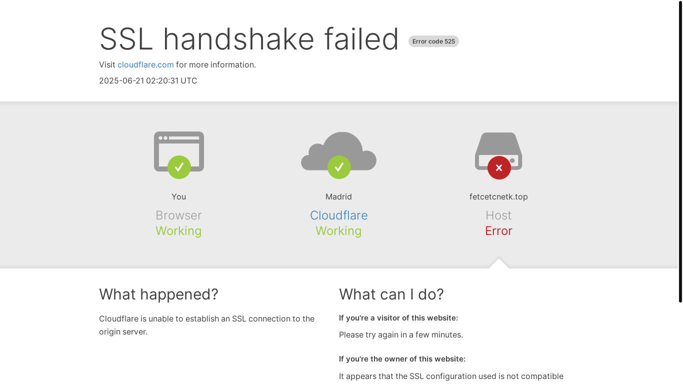 website screenshot of https://fetcetcnetk.top/