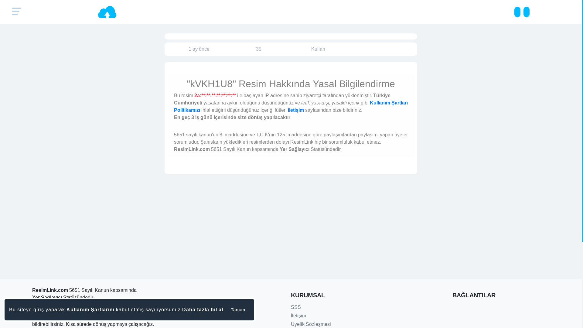 website screenshot of https://resimlink.com/kVKH1U8