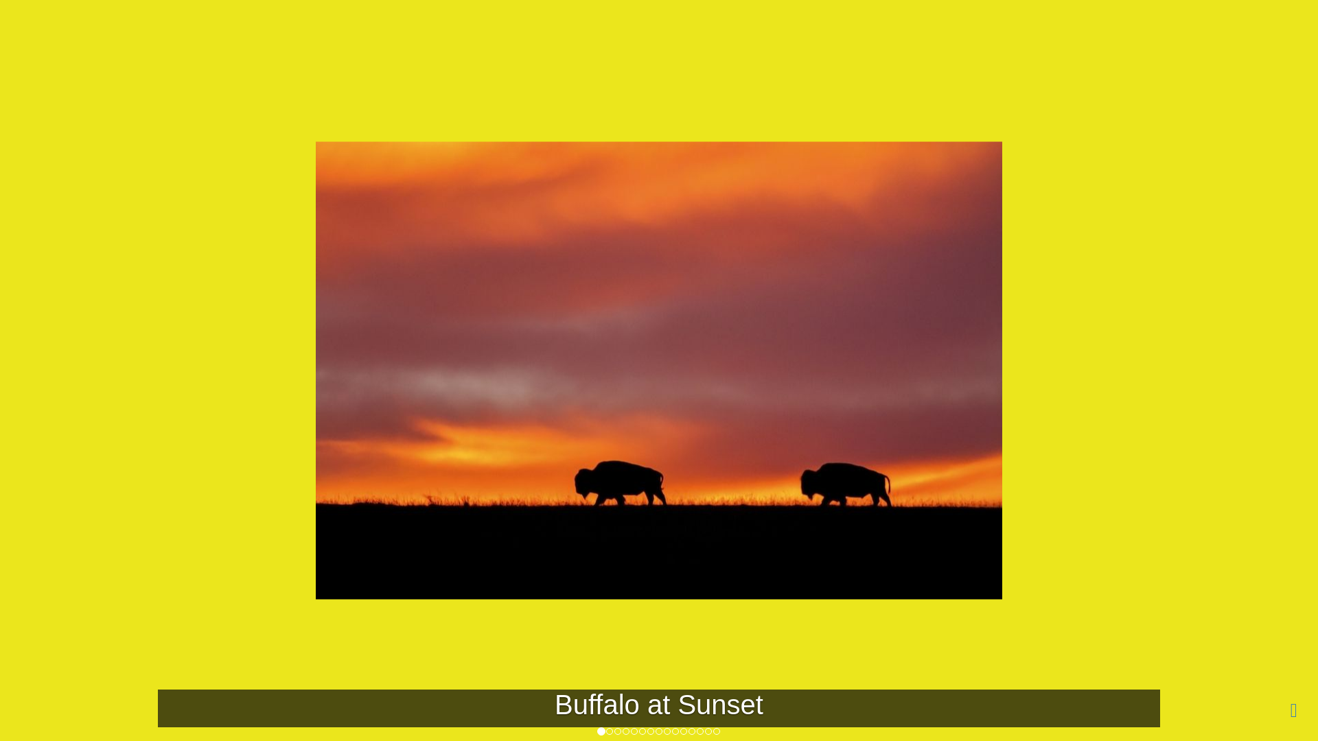 website screenshot of https://ba844f25-cc15-a5a0-ddb3-ec9120f7e307-ci-qa.pages.dev/