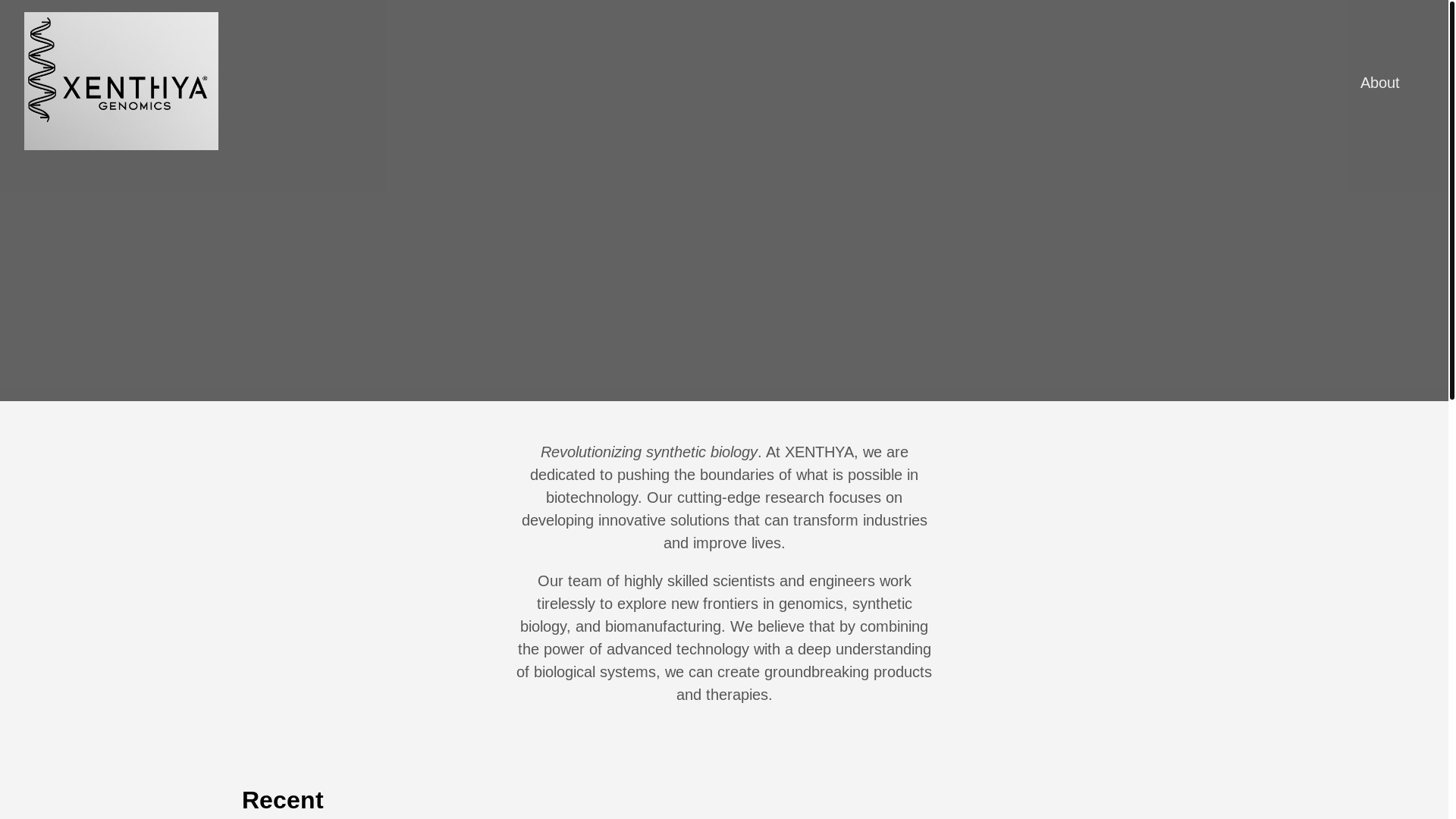 website screenshot of https://xenthya.pages.dev/
