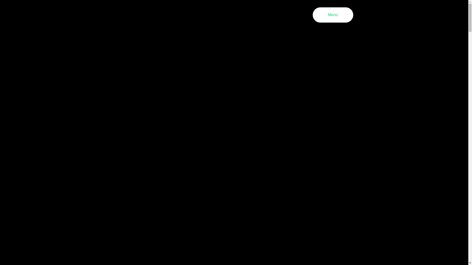 website screenshot of https://froehlichesfreiburg.de/