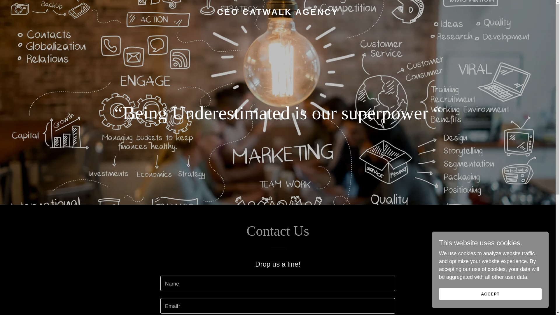 website screenshot of https://ceocatwalkagency.com/