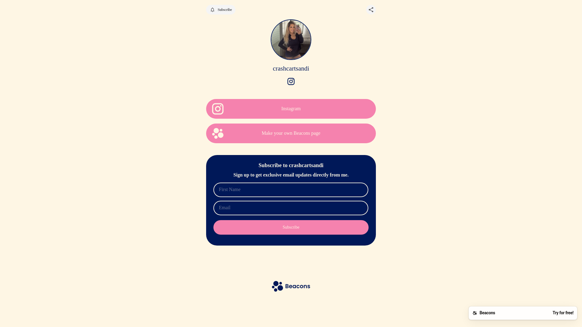 website screenshot of https://crashcartsandi.com/