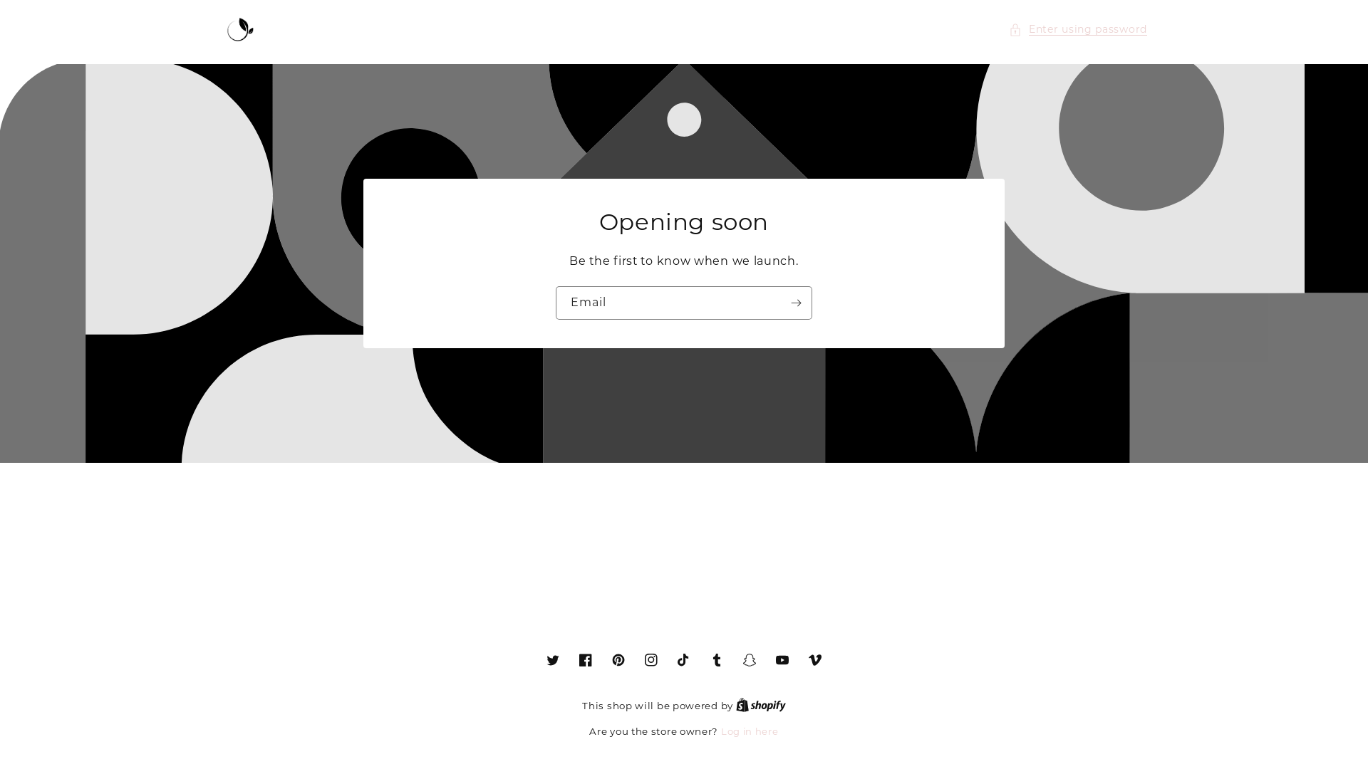 website screenshot of https://themackstore.store/