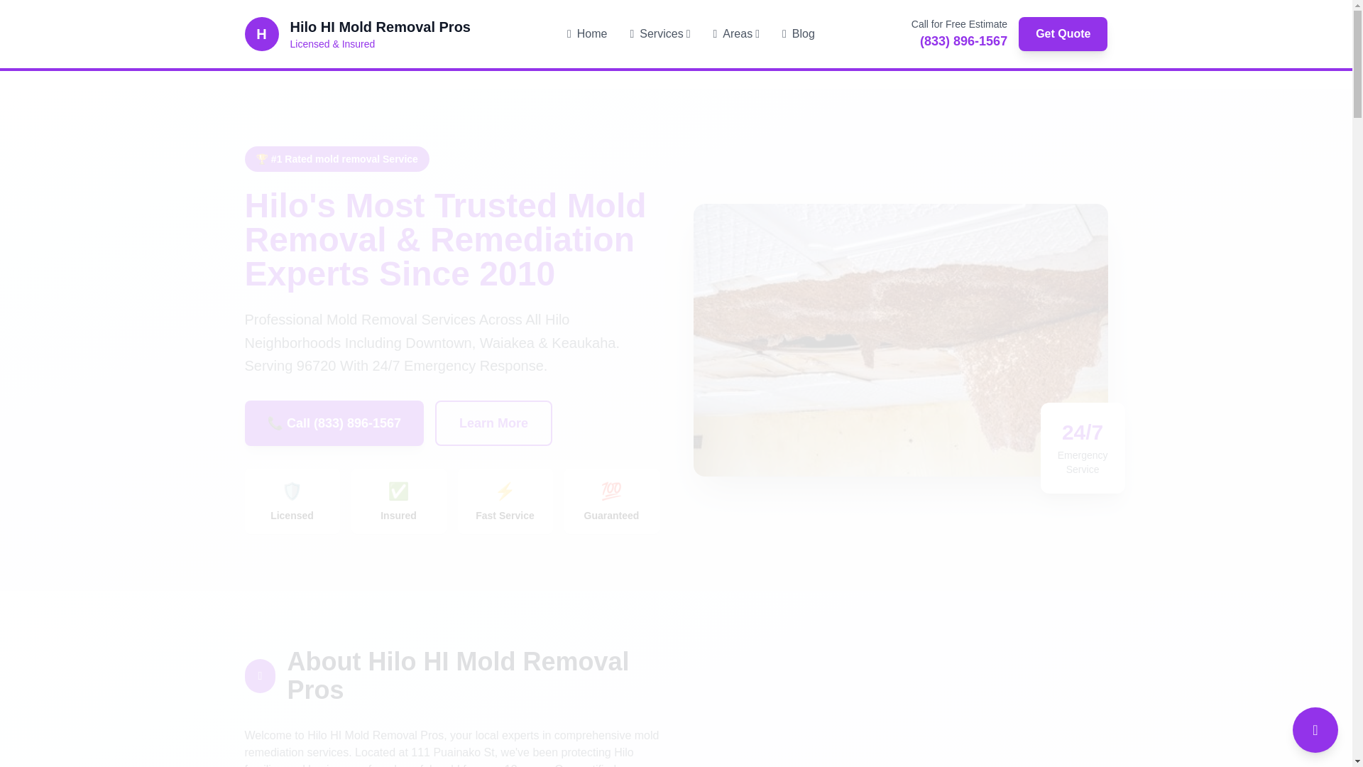 website screenshot of https://mold-removal-hilo-hi.pages.dev/