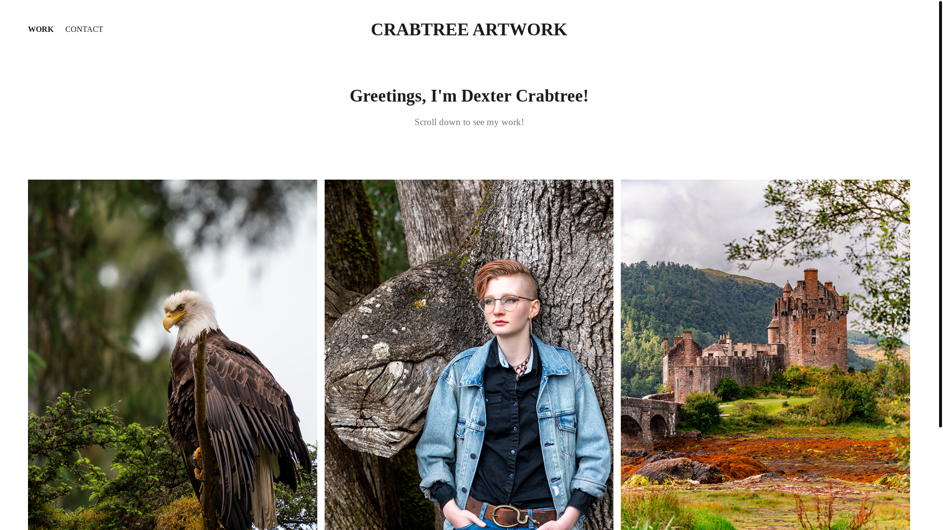 website screenshot of https://crabtreeartwork.com/