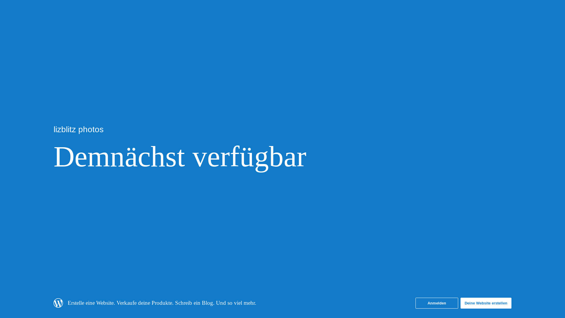 website screenshot of https://lizblitzphotos.art/