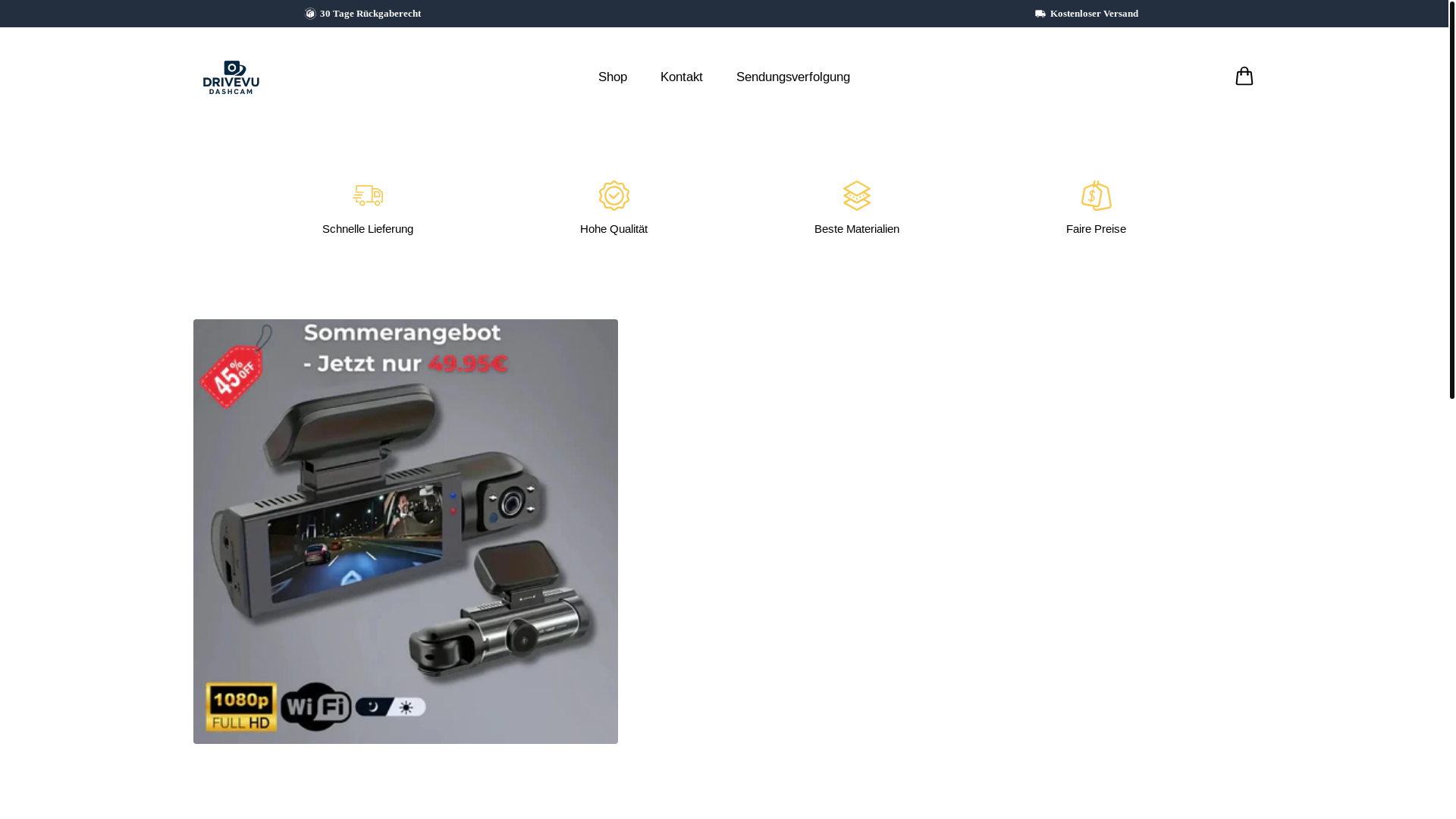 website screenshot of https://drivevu.de/