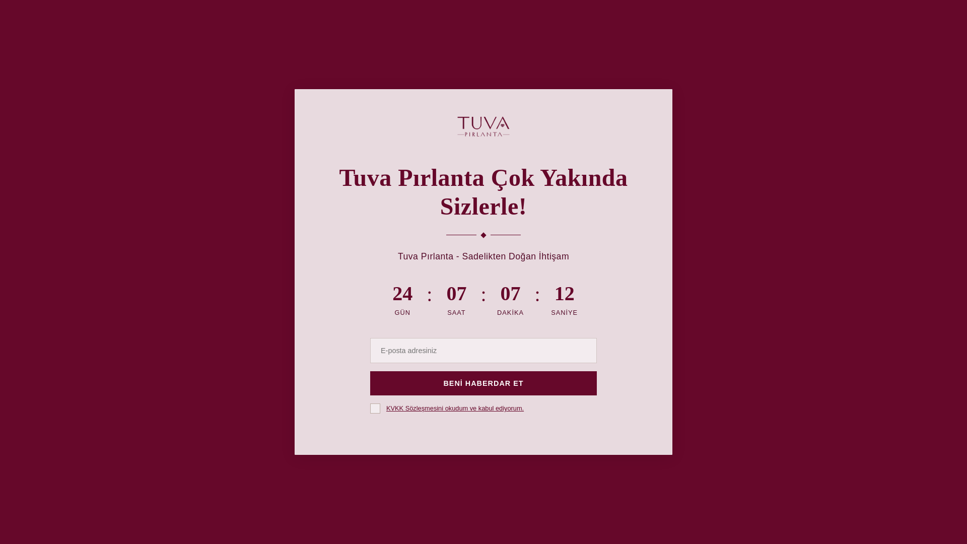 website screenshot of https://tuvapirlanta.com/