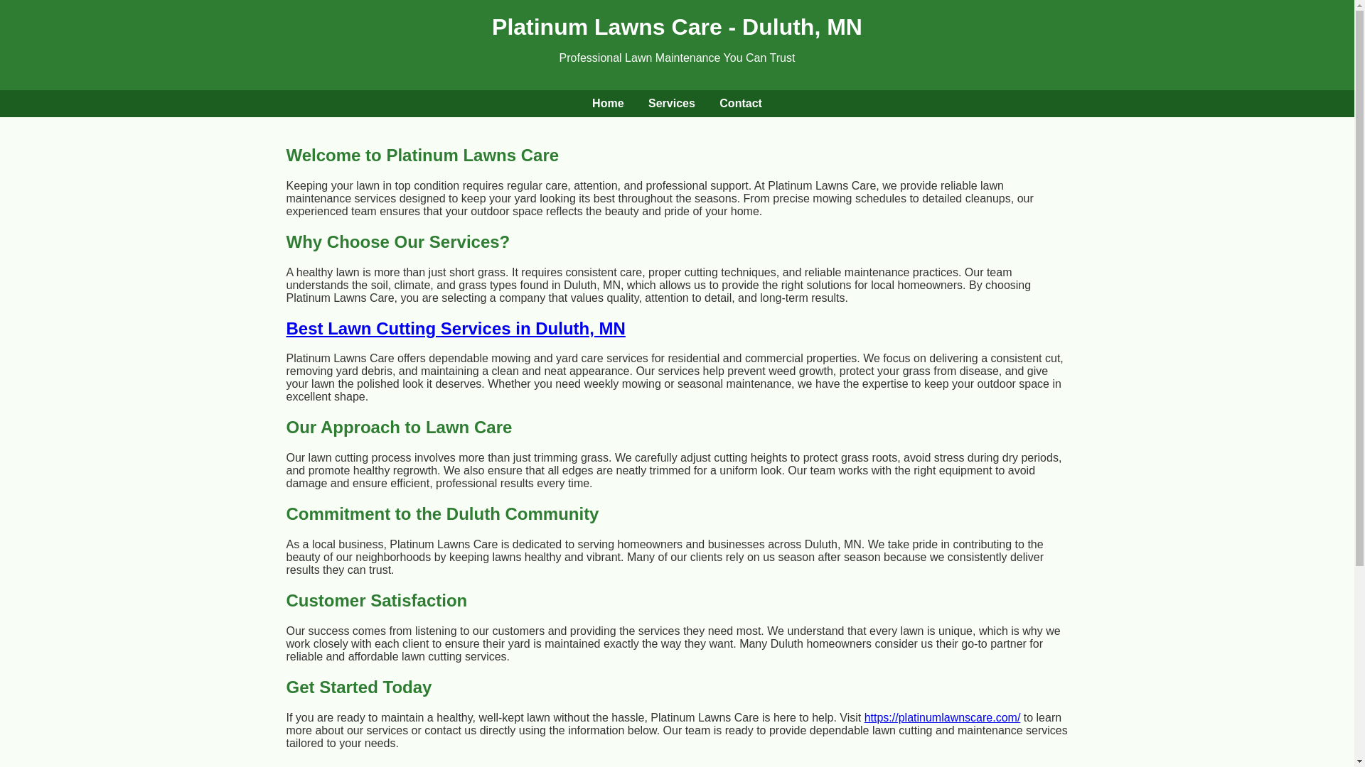 website screenshot of https://best-lawn-cutting-duluth.pages.dev/