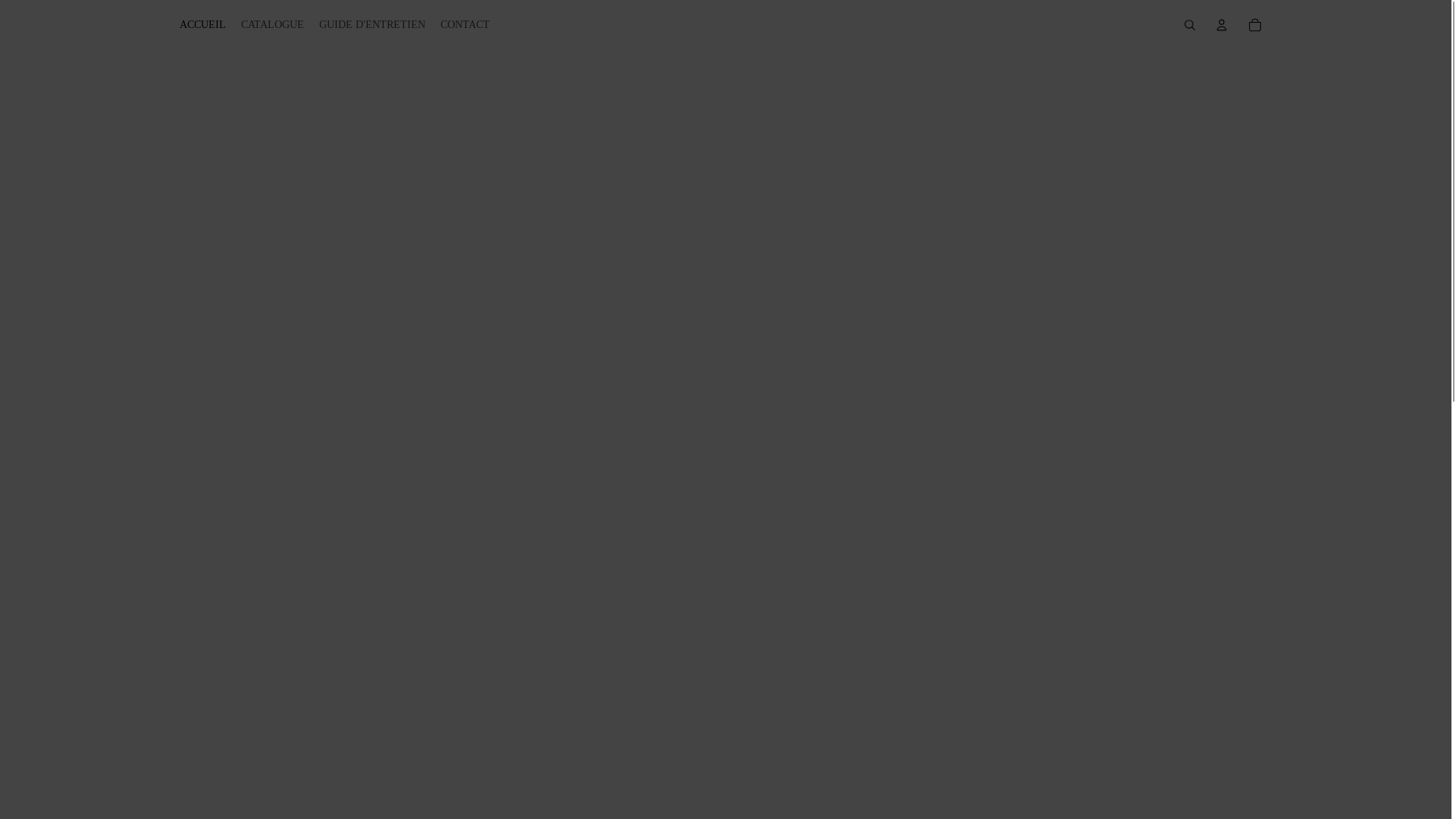 website screenshot of https://velaextension.com/