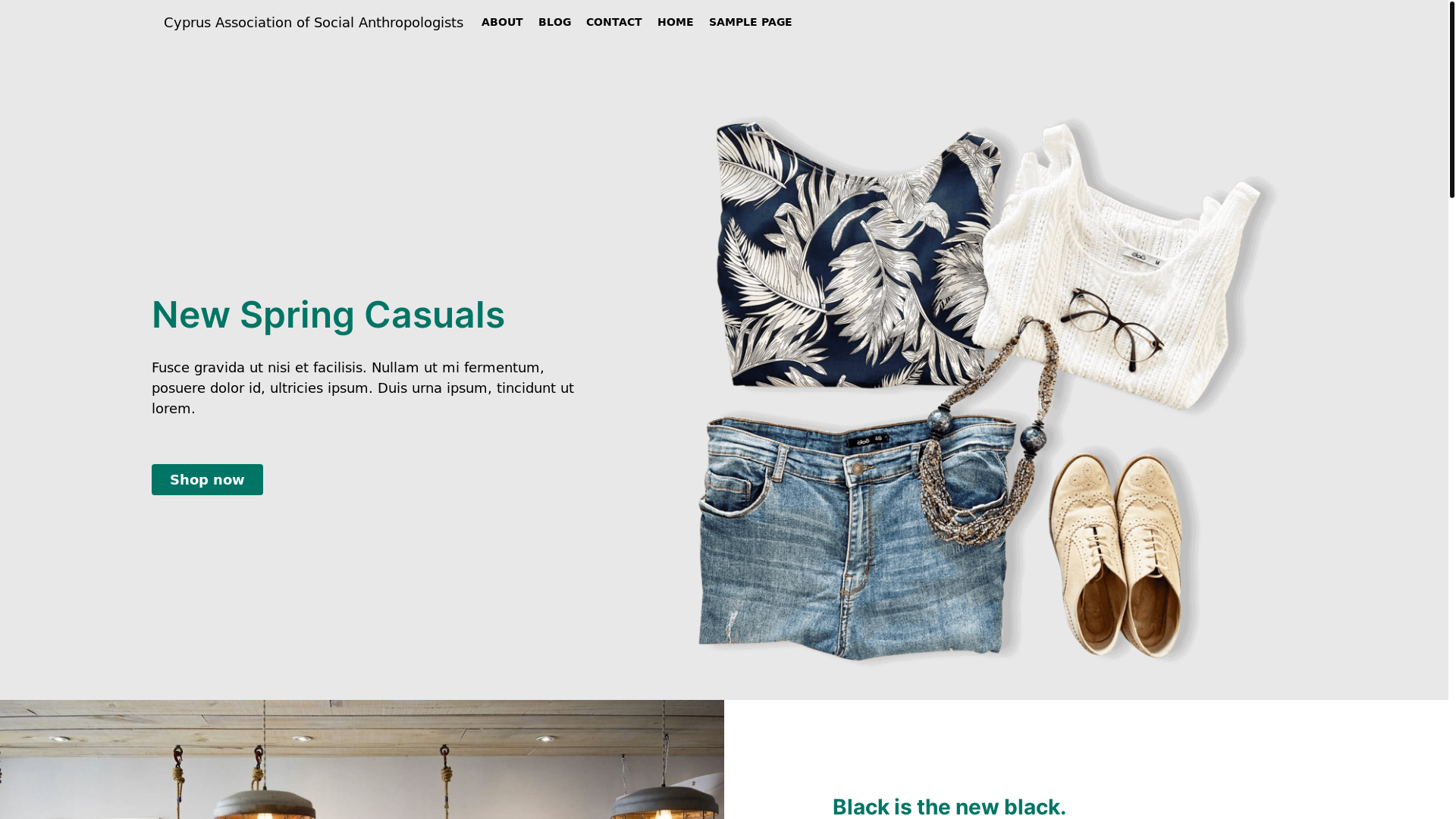 website screenshot of https://cyprusanthro.org/