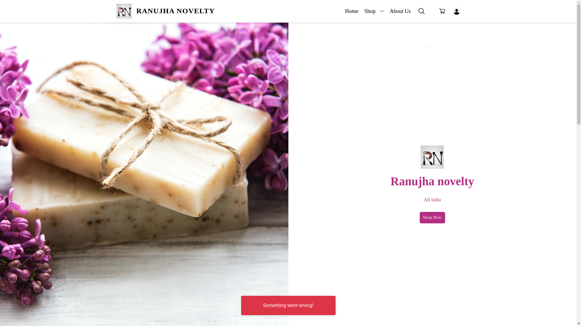 website screenshot of https://myranujhanovelty.in/