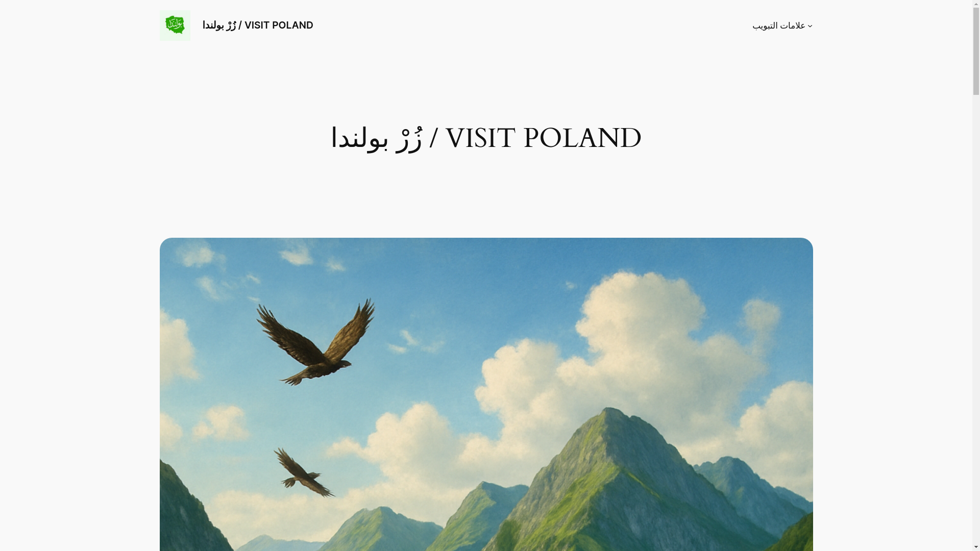 website screenshot of https://zur-bulanda.com.pl/