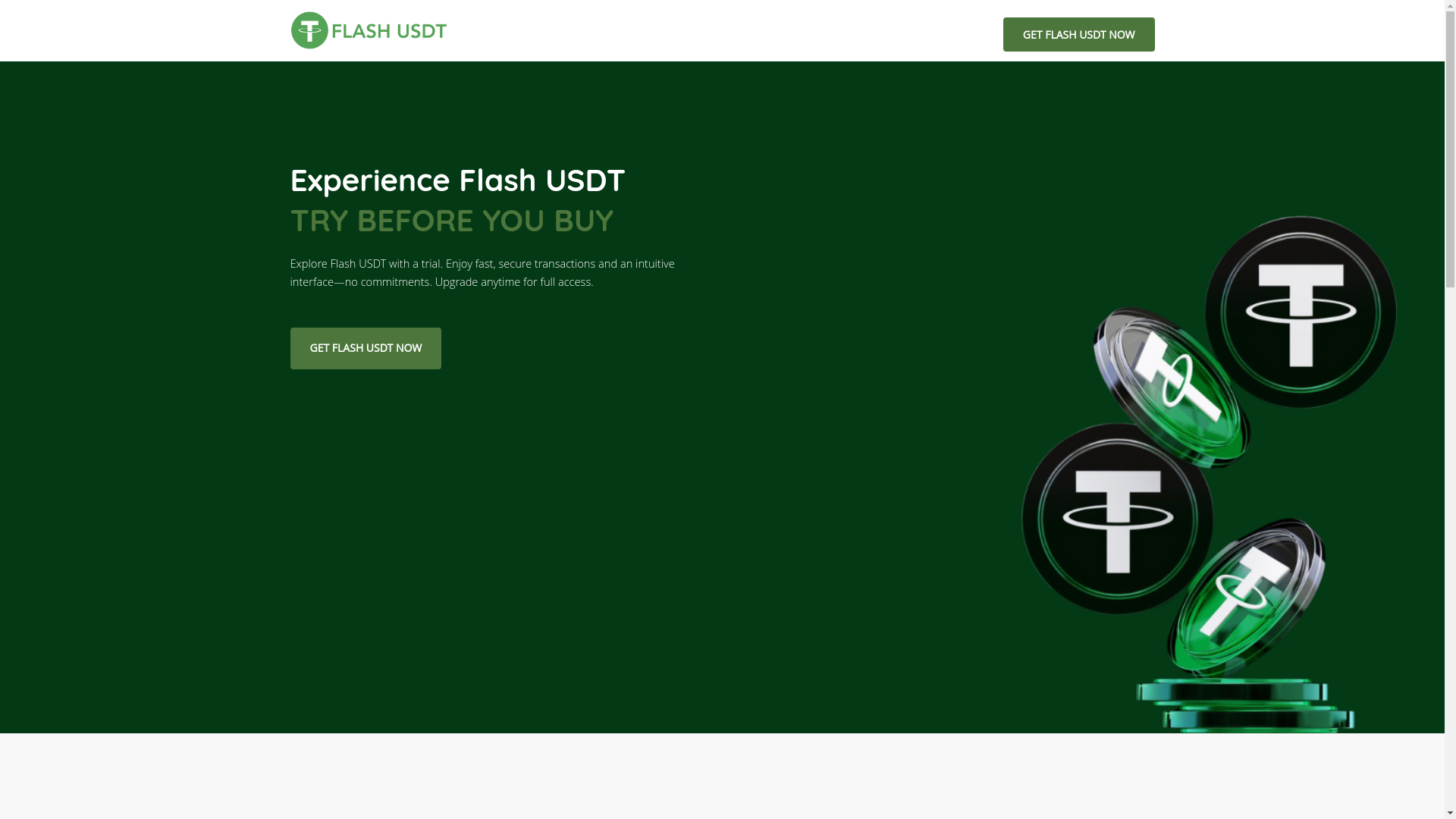 website screenshot of https://flasherin.shop/