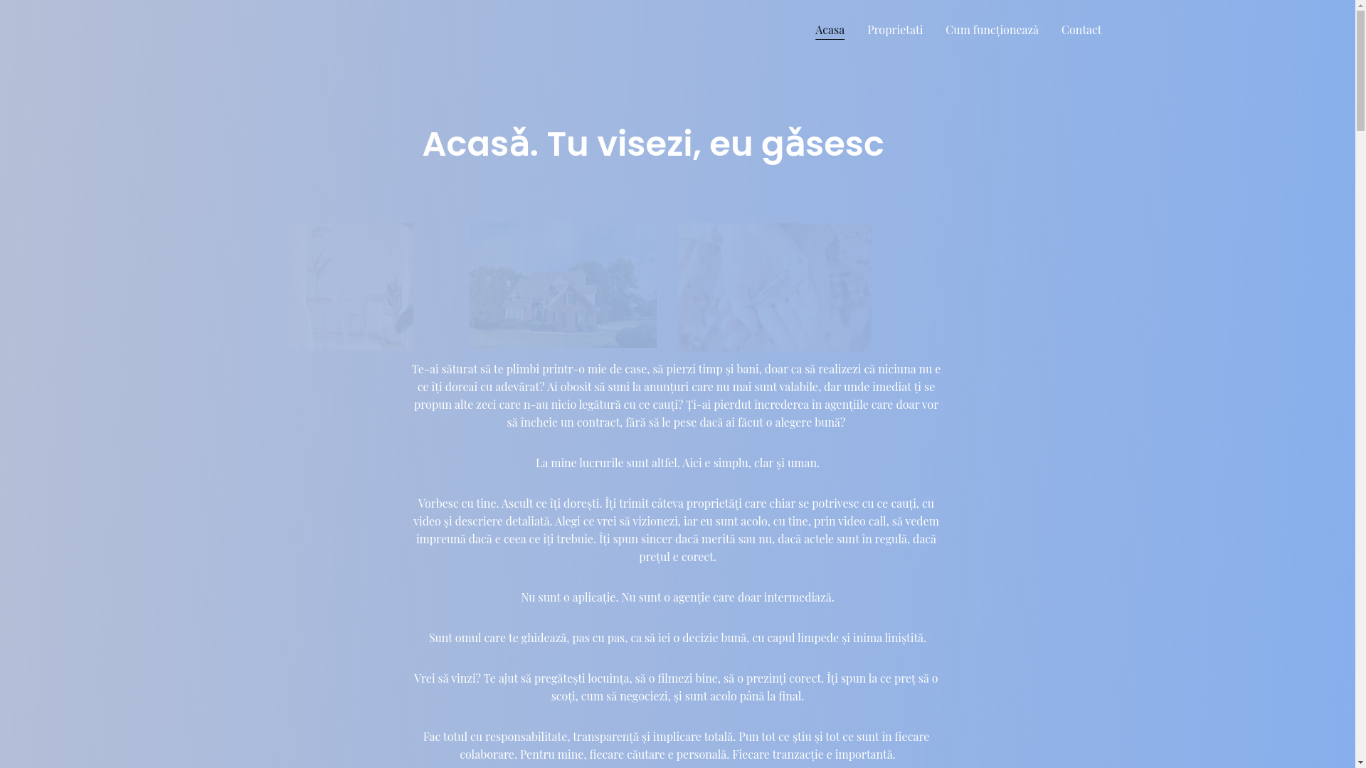 website screenshot of https://agentiadianadraghici.com/